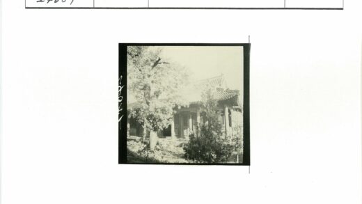 传统建筑华丽屋顶花园景.jpg