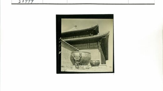 传统建筑华丽花盆装饰屋顶.jpg