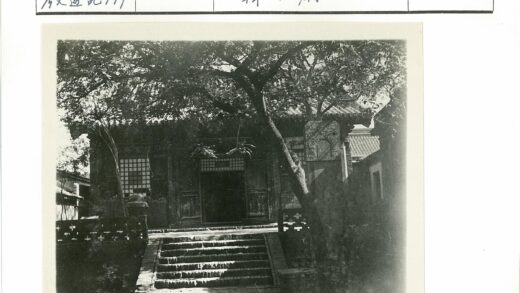 传统建筑台阶入口绿荫掩映.jpg