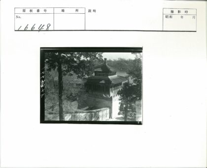 传统建筑复杂屋顶与绿树掩映.jpg