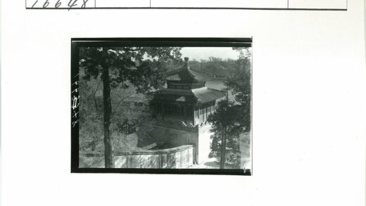 传统建筑复杂屋顶与绿树掩映.jpg