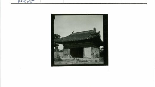 传统建筑复杂屋顶与自然景观.jpg