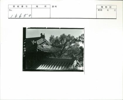 传统建筑复杂屋顶与自然树林.jpg