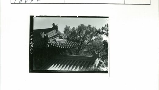 传统建筑复杂屋顶与自然树林.jpg