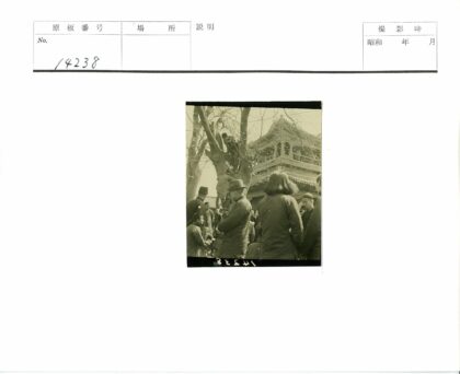 传统建筑外孩童爬树众人围观.jpg