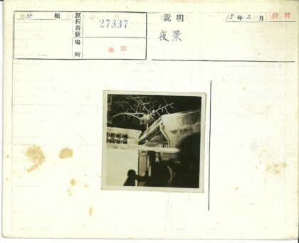 传统建筑夜景与树影.jpg