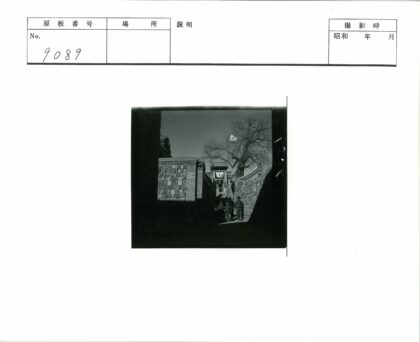 传统建筑小巷孩童与枯树.jpg
