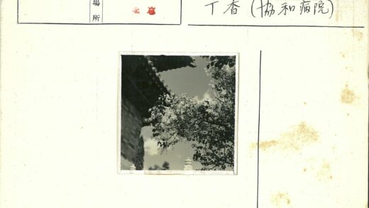 传统建筑屋檐下花枝盛开.jpg