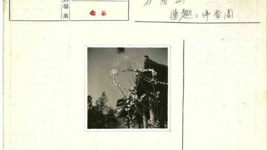 传统建筑屋顶与小花前景.jpg