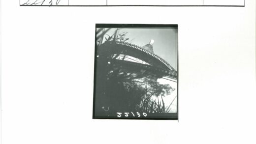 传统建筑屋顶与树影.jpg