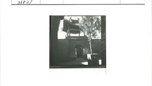 传统建筑屋顶与绿树花盆.jpg