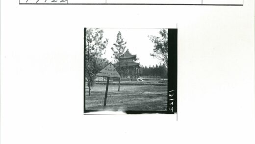 传统建筑屋顶与自然景观.jpg