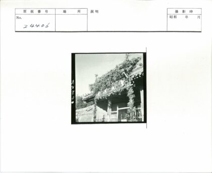 传统建筑屋顶细节与悬挂树叶.jpg