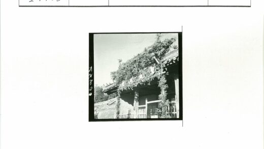 传统建筑屋顶细节与悬挂树叶.jpg