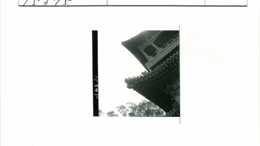 传统建筑屋顶细节与树木背景.jpg