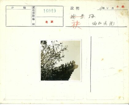 传统建筑屋顶雕像与绿树蓝天.jpg