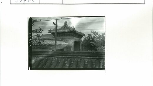 传统建筑屋顶雕刻与华丽大门.jpg