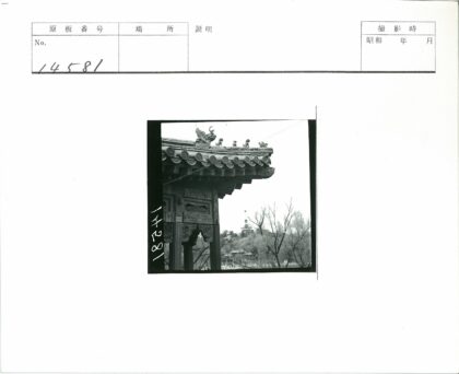 传统建筑屋顶雕刻与远处风景.jpg