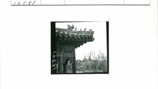 传统建筑屋顶雕刻与远处风景.jpg
