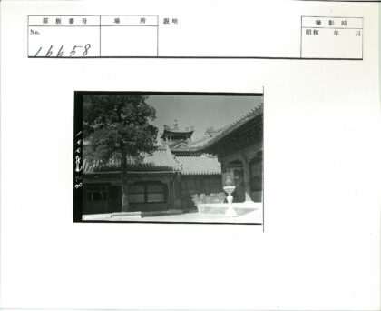 传统建筑庭院与古树石屋.jpg