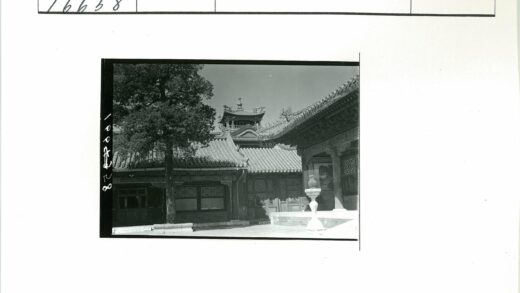 传统建筑庭院与古树石屋.jpg