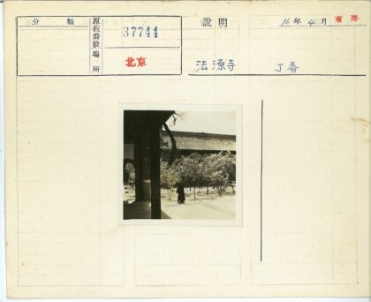 传统建筑庭院小树景.jpg