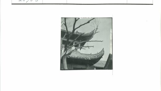 传统建筑弯曲屋顶晴空枯树.jpg