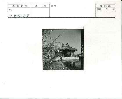 传统建筑旁垂钓花开枝前景.jpg