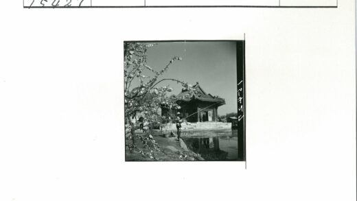 传统建筑旁垂钓花开枝前景.jpg