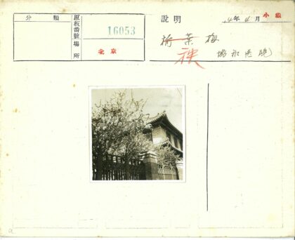 传统建筑春日庭院景色.jpg