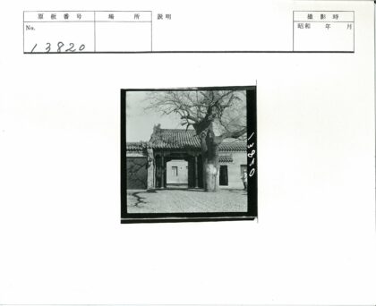 传统建筑木门与光秃大树.jpg