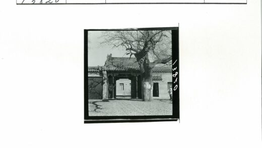 传统建筑木门与光秃大树.jpg