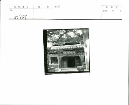 传统建筑松林环绕雕刻立面.jpg