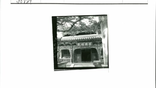 传统建筑松林环绕雕刻立面.jpg