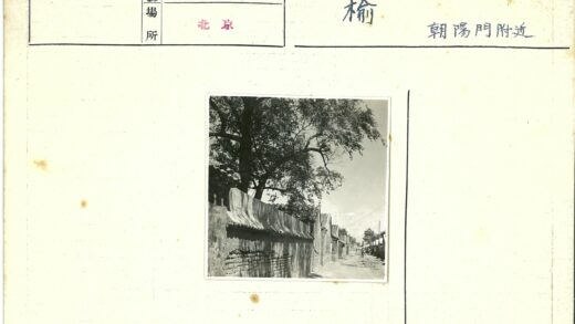 传统建筑林荫街道景观.jpg