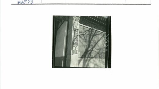 传统建筑树影与文字标志.jpg