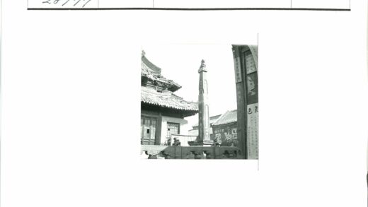 传统建筑狮子雕塑石柱与瓦顶.jpg