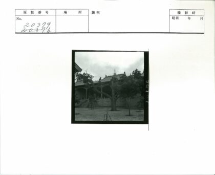 传统建筑瓦顶与古树景观.jpg