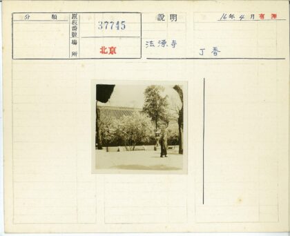 传统建筑瓦顶与灯笼景观.jpg