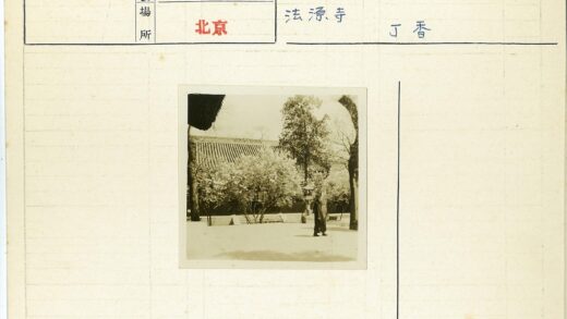 传统建筑瓦顶与灯笼景观.jpg
