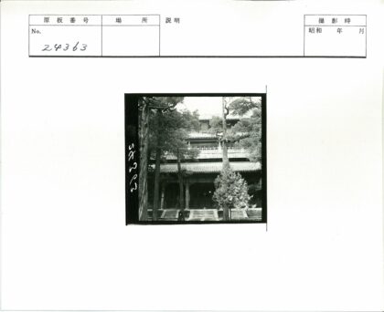 传统建筑瓦顶与绿树相映.jpg