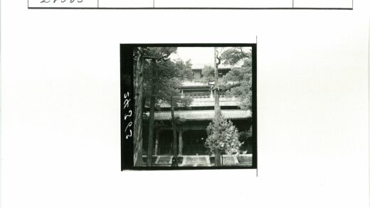 传统建筑瓦顶与绿树相映.jpg