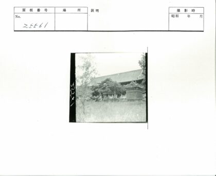 传统建筑瓦顶大树石景.jpg