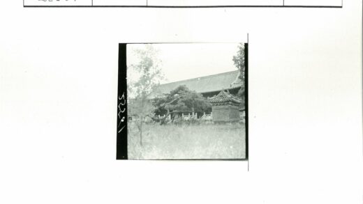 传统建筑瓦顶大树石景.jpg