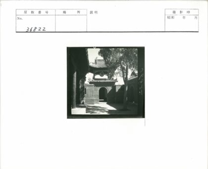 传统建筑瓦顶拱门树荫.jpg