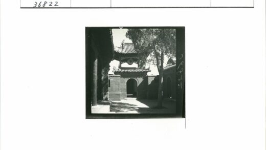 传统建筑瓦顶拱门树荫.jpg
