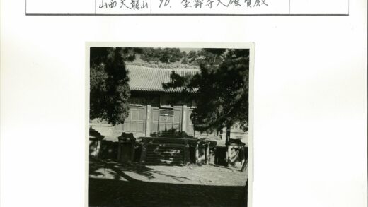 传统建筑瓦顶木门石阶绿树.jpg