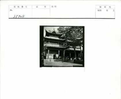传统建筑瓦顶树荫人群聚集.jpg