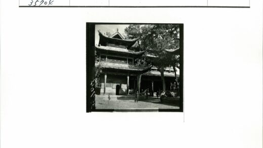 传统建筑瓦顶树荫人群聚集.jpg