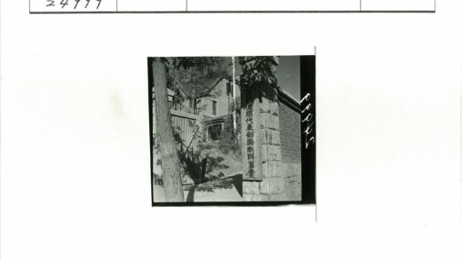 传统建筑瓦顶树荫入口.jpg